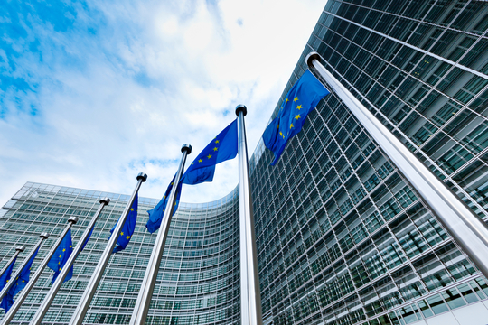 European Commission Seeks Comments On Revised Horizontal Guidelines Draft